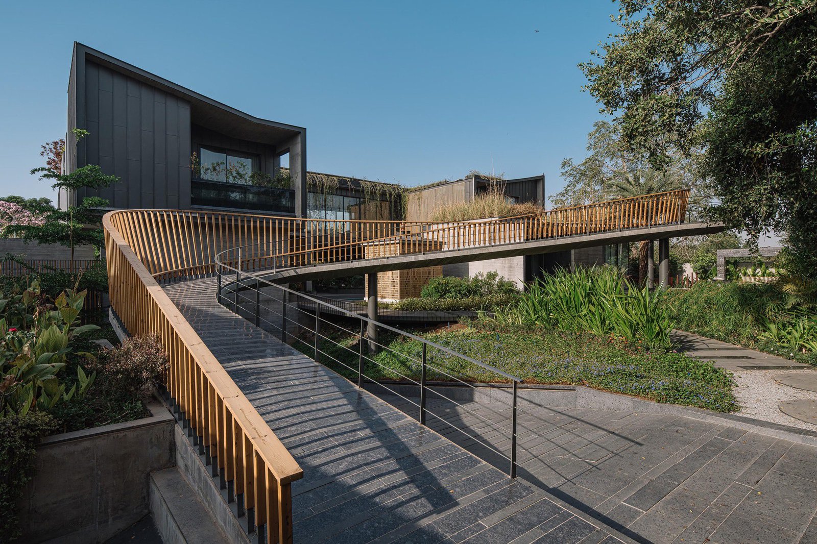 A Ponte dos Sonhos: Harmonia entre Gerações