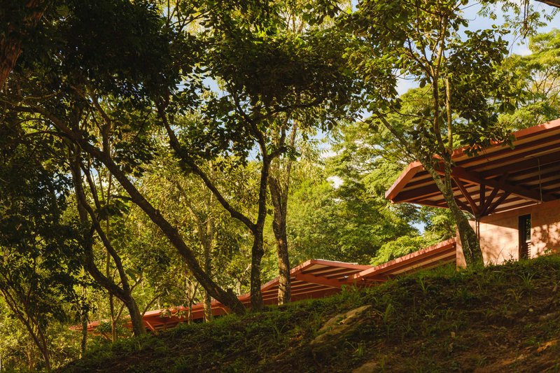 Parque Linear Córrego do Bispo / Natureza Urbana - Imagem 9 de 24