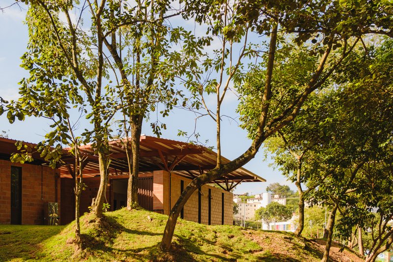 Parque Linear Córrego do Bispo / Natureza Urbana - Fotografia de Exterior, Madeira, Jardim