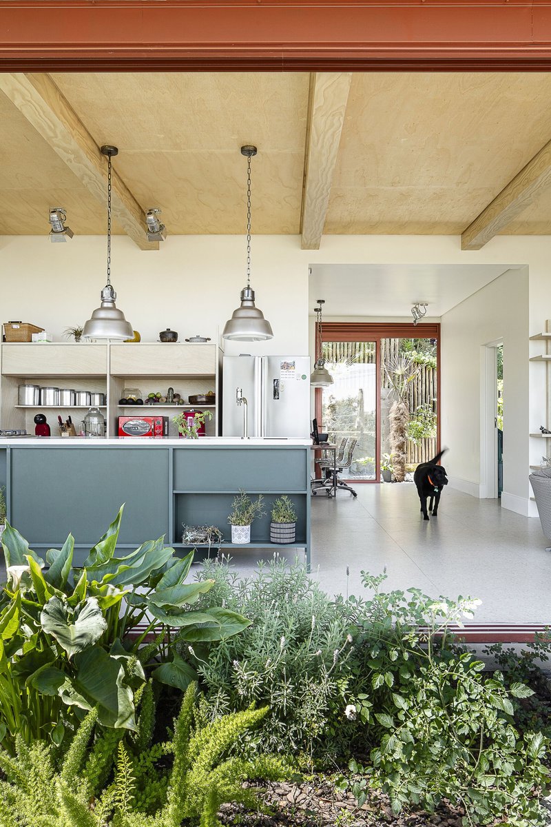 Casa Lechuza / ARKITITO Arquitetura - Fotografia de Interiores, Janela