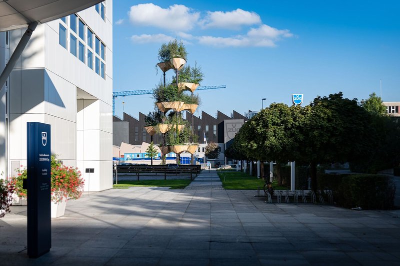 Semiramis Installation